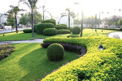 上海园林绿化