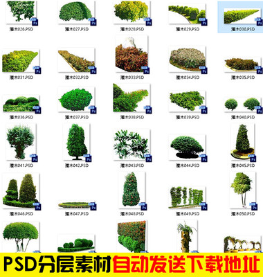 H254鸟瞰效果图PSD素材园林景观绿化带灌木丛藤蔓乔木花卉PSD文件